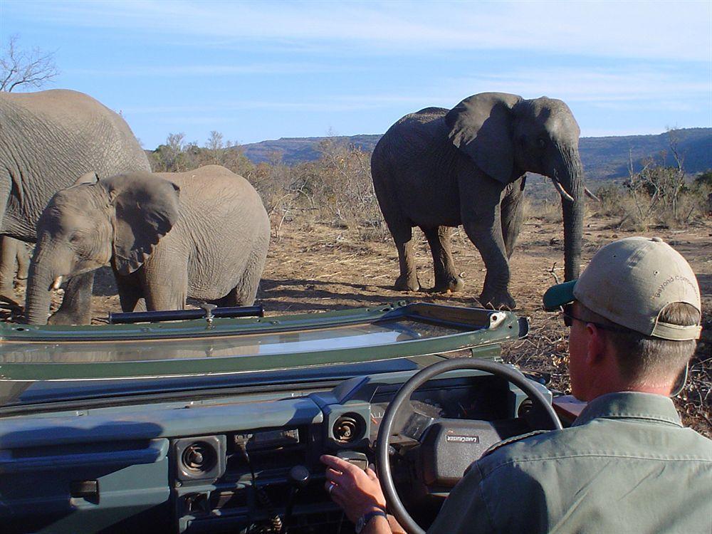 Entabeni Mountain Lodges Mmamatlakala エクステリア 写真